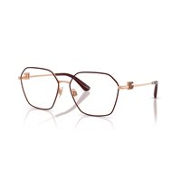 Monture de lunettes D&G Femme 0DG1366135156